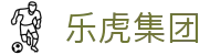 乐虎集团(中国)有限公司